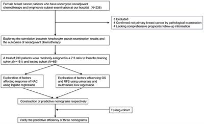 Peripheral NK cell count predicts response and prognosis in breast cancer patients underwent neoadjuvant chemotherapy